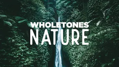 Wholetones Nature album cover